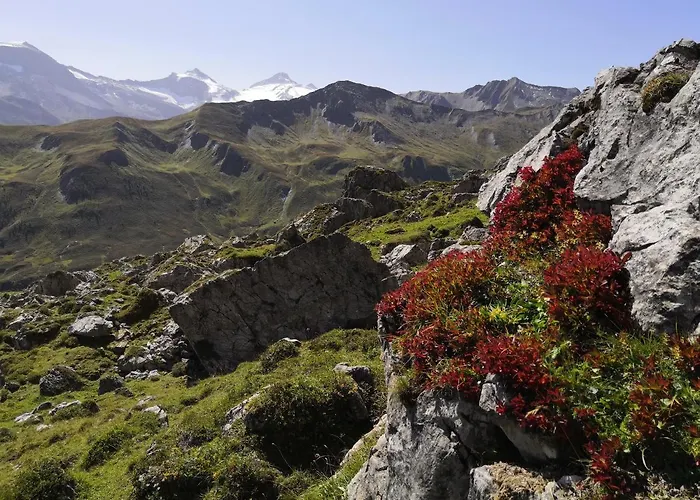 Appartement An Der Muehle Tux